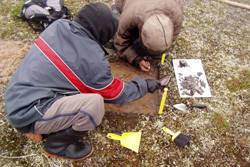 ᐃᑎᕐᓵᐲᑦ ᑐᓂᕐᑕᓂᐊᕐᕕᐅᓱᑎᒃ ᐃᒣᓪᓗᐊᕙᓪᓗᓲᒍᕗᑦ, 50 x 50 cm or 1 x 1 m  ᐃᑎᕐᓴᓕᐊᕕᓃᑦ ᓴᒡᒐᑕᐅᑦᓱᑎᒃ ᓇᓗᓀᕐᓯᒍᑕᐅᒐᔭᕋᒥᒃ ᐃᓄᖃᓚᐅᕐᓂᒪ¯ᑦ ᖃᐅᔨᓴᕐᓱᑎᓗ ᓇᔪᒐᐅᓚᐅᕐᑐᕕᓂᐅᑉ ᖃᓕᐊᕇᑦᑎᓂᖓᓂᒃ.