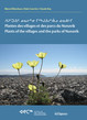 publication