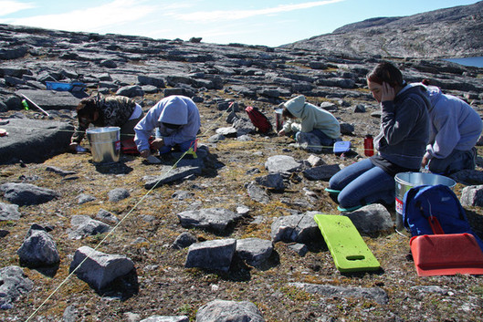 Inuit youth learning basic archaeological techniques, Ivujivik 2008, Nunavik