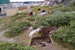 General overview and surface-level collection activity at site IcGm-77, facing west