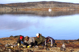 Excavation of structure 10, site IcGm-43, facing northwest