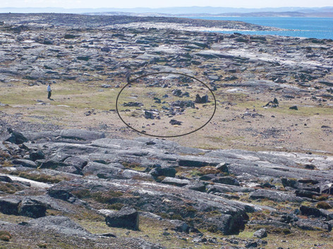 Vue générale de la maison longue dorsétienne (JiEv-4) sur la péninsule Aivirtuuq.