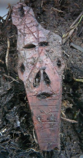 Nuvuk maskette