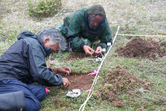 Willie and John excavating test pits at HbFx-1 site, summer 2010. Picture: Pierre M. Desrosiers.