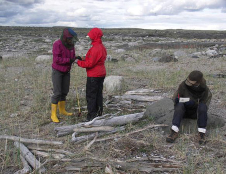 Figure 3: Collecting and measurement of wood fragments at Drayton Island 