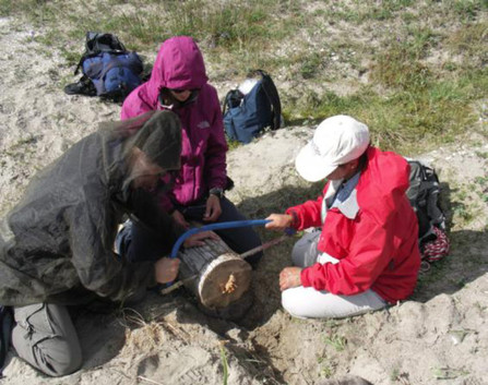 Figure 4 : Échantillonnage d’une galette de bois près du village d’Inukjuak