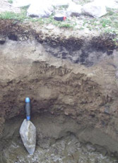 Figure 7: Stratigraphic section near of archaeological site KdFr-3 at Digges Island west 