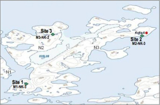 Figure 1 : Localisation des sites d'échantillonnages de l'archipel des Îles Nuvuk, Nunavik 