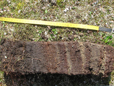 Figure 2: Monolith sampled from NK-3, Nuvuk Island archipelago, Nunavik