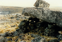 Abri-sous-roche, site JhFk-1, été 1988