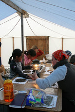 Laboratoire de terrain, été 2006