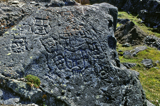 Vue générale, secteur B du site JhEv-1, vers l’ouest, 2004