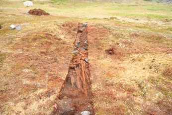 Wood from the roof structure, Structure 1, IbGk-3, summer 2007