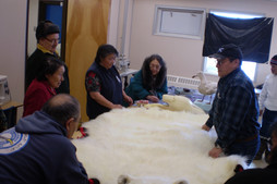 Sarah (en veste bleue) explique le procédé de tannage de peaux d'ours blanc sous le regard de Quananack, Mary Nutaaq Ainalik, Lazarusie Epoo, Mary Fleming, Simon Makimmak et Zebedee Nungak (photo de Nancy Palliser)
