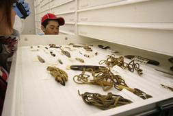 Allie Aculiak admiring artefacts at the McCord Museum (Photo by Pierre D.)