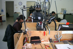 The workshop