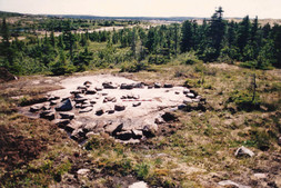 View of excavated tent structure 9, 1991, facing southwest