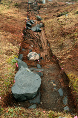 Bois provenant de la charpente de l’habitation à l’intérieur de la structure 1, IbGk-3, été 2007