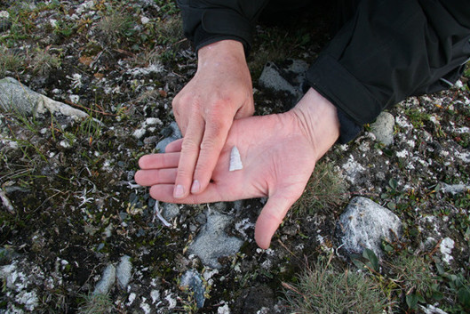 Pointe dorsétienne en chert, découverte sur un nouveau site paléoesquimau, sur la côte au nord d’Akulivik, été 2010. 