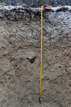 Figure 4: A stratigraphic section, NK-3 Island  