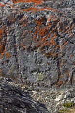 Pétroglyphe de forme rectangulaire avec un léger arrondissement au menton; cette gravure possède un contour piqueté plutôt que gravé, 2004