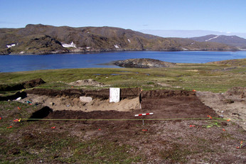 Vue de l’aire centrale du site de Tayara, à la fin de l’excavation du niveau 1, vers l’ouest, été 2003