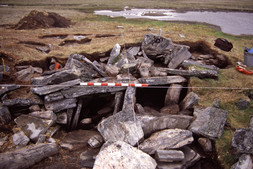 Entry tunnel to a Thule dwelling, site JfEl-10, facing east, Summer 2002