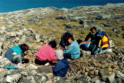 Jeunes Inuits apprenant les techniques d’excavation dans un champ de blocs, site IdGo-12