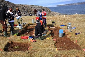 Students and archaeologists excavating on the Nuvuk Islands near Ivujivik, summer 2009