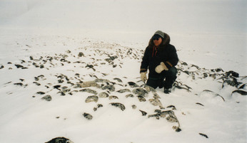 Zebedee Nungak aux côtés de la sépulture de sa grand-mère, Eemeelie Nujarlutuq, dont le nom fut transmis à Emily Novalinga